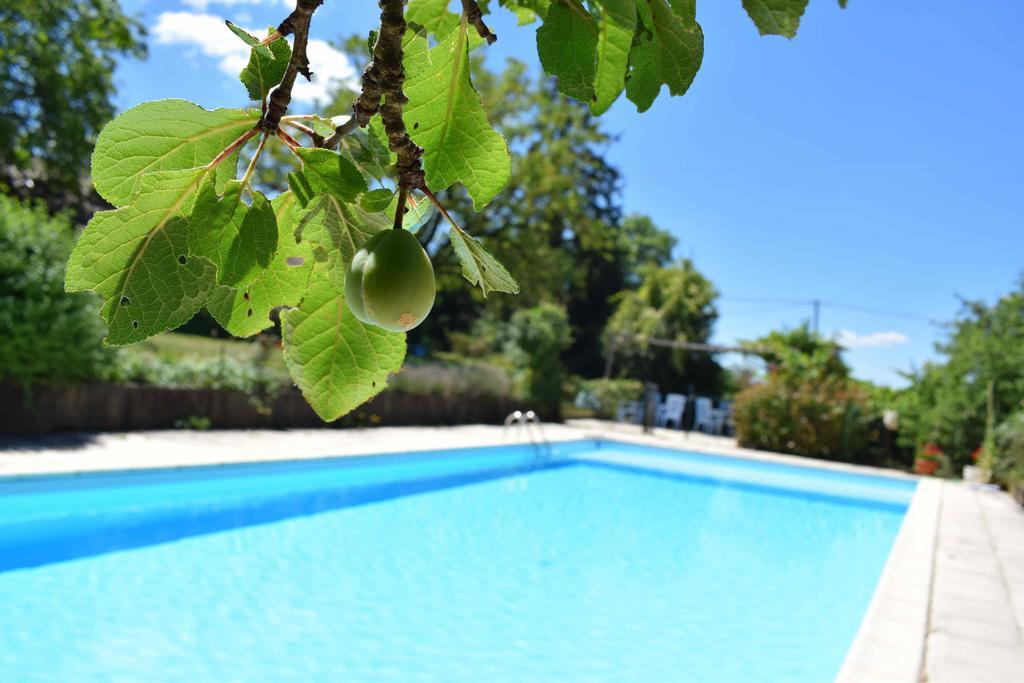 Bed and Breakfast Camping Chez Francis Loupiac  Экстерьер фото